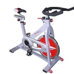 Sunny Health and Fitness Pro Indoor Cycling Bike Review